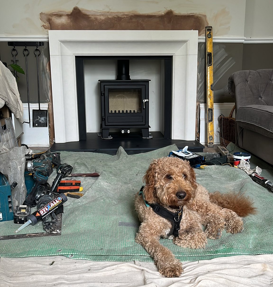 Black stove with a contemporary white fire surround and a cute dog sitting in the foreground