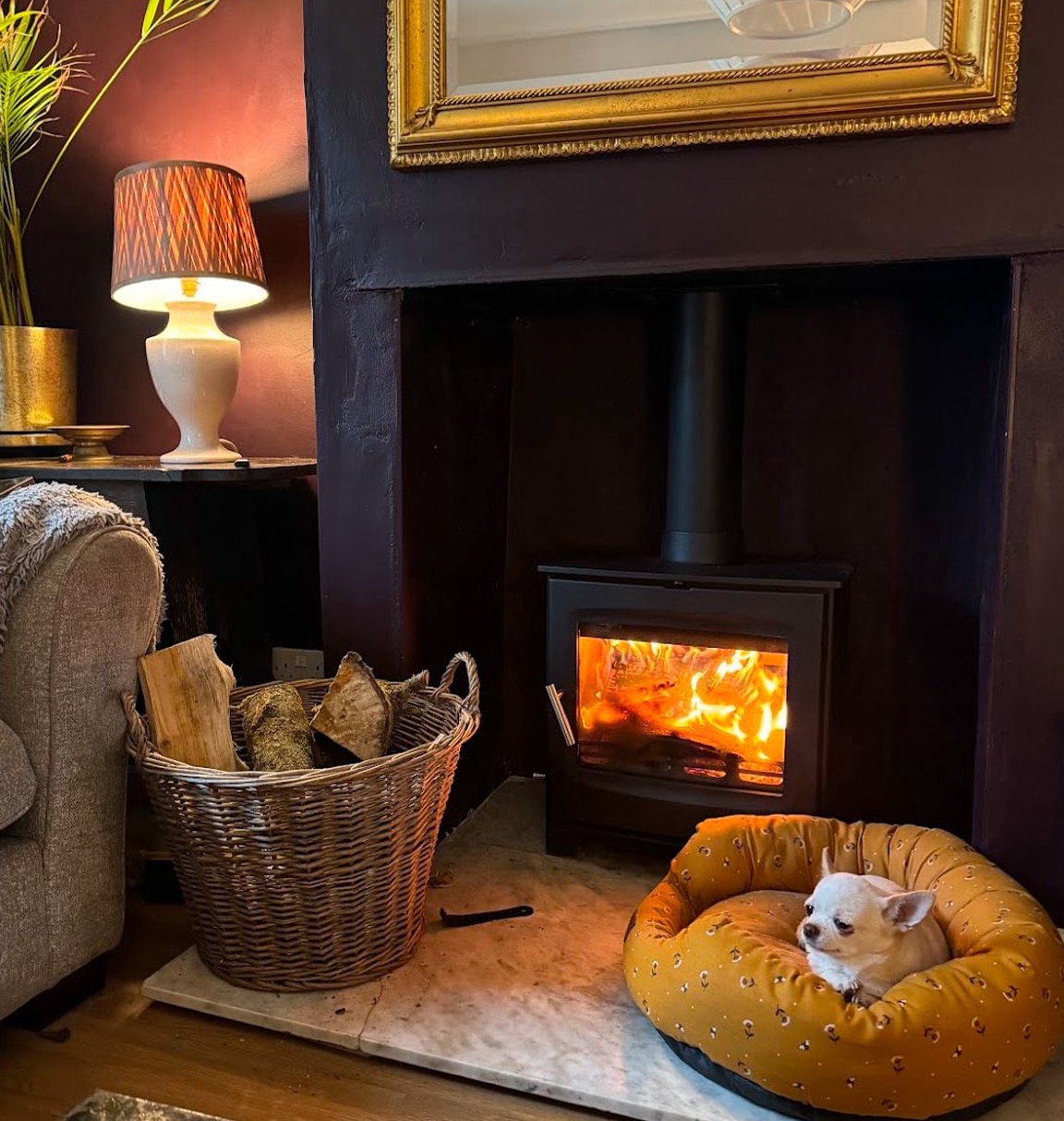 Black log burner in a black painted fireplace with a white dog in a yellow bed and a basket of chopped logs to the left. Very cosy.